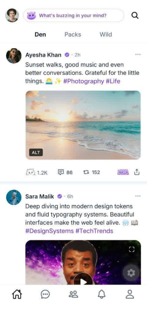 Punz Feed Screenshot